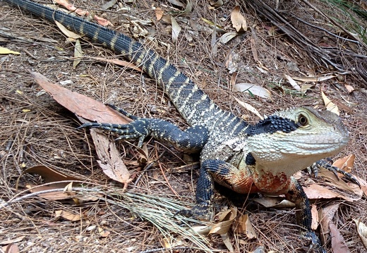 unbenannte Fotosession 20131220 1058